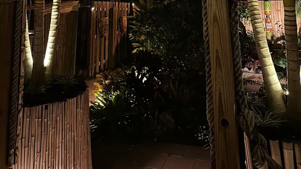 A tropical garden at night with illuminated palm trees and a wooden fence. - Waterfront home w/dock-Jon boat, Kayaks & fishing poles included! (Port Richey)