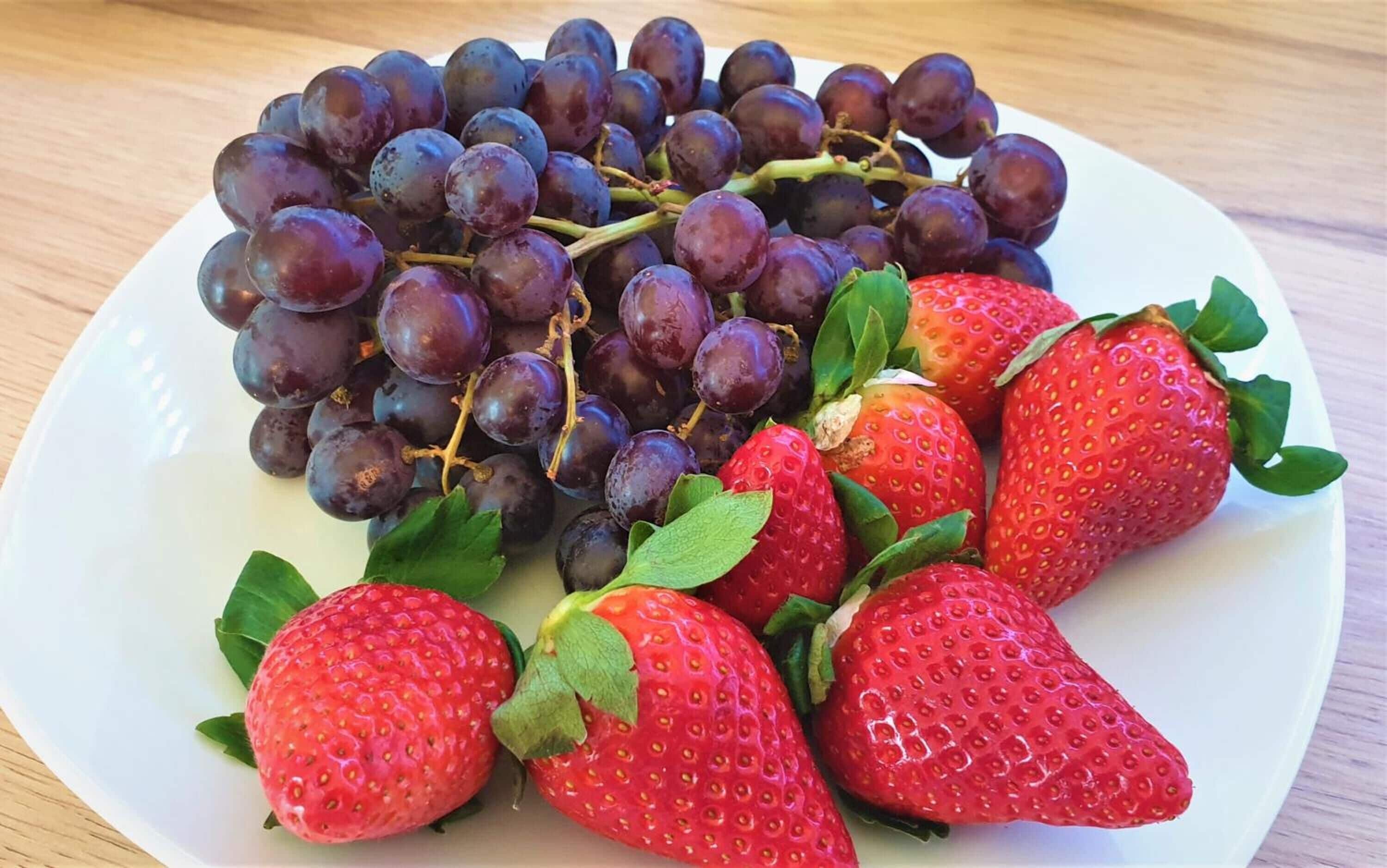 Photo - Hotel Austria Stuttgart-City