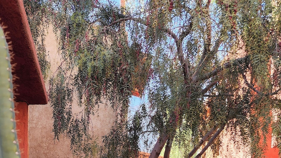 La Paleta del Pintor Hosteria