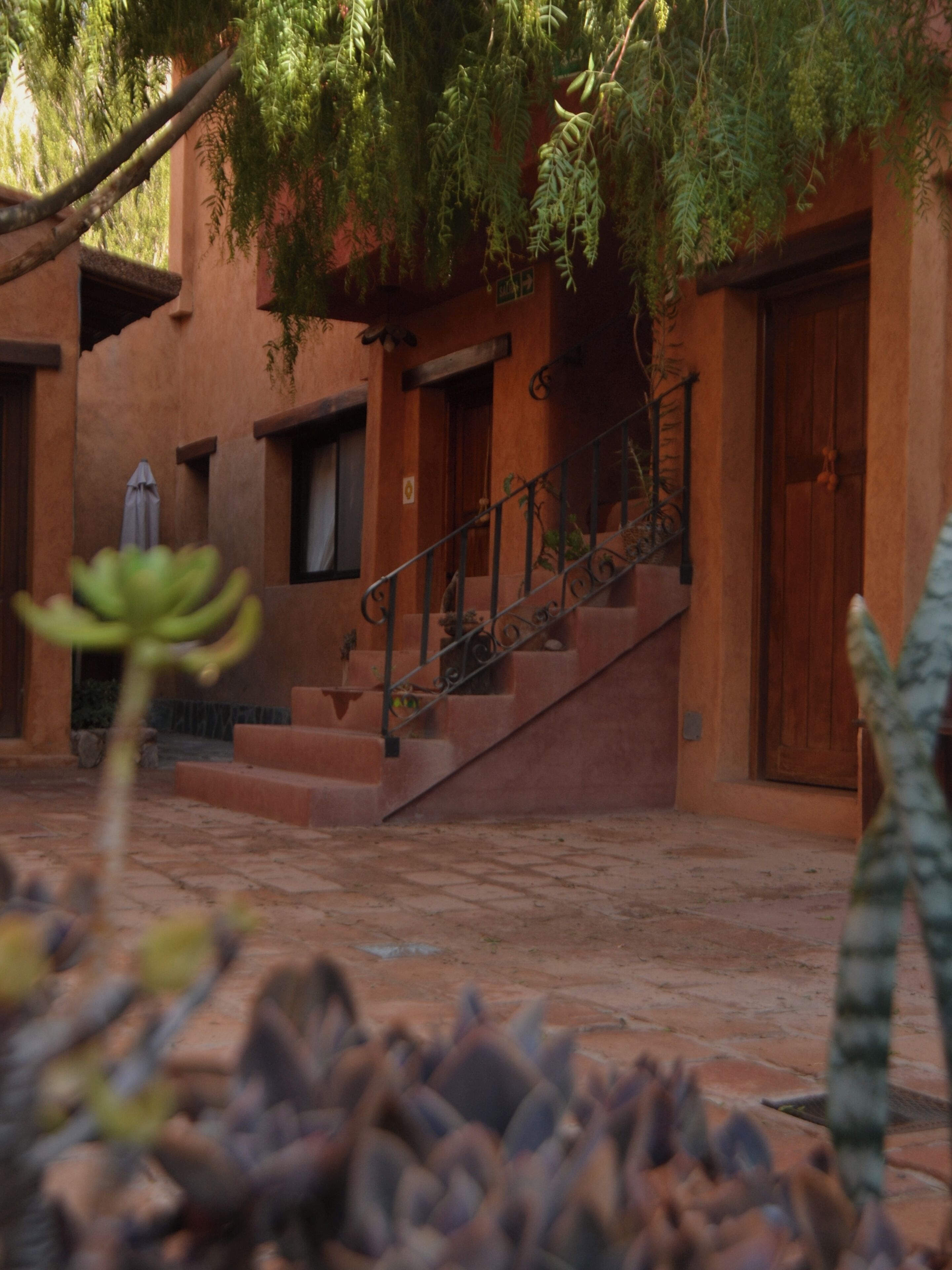 Un patio con una escalera que conduce a una puerta de madera, rodeado de muros de terracota y plantas en macetas.