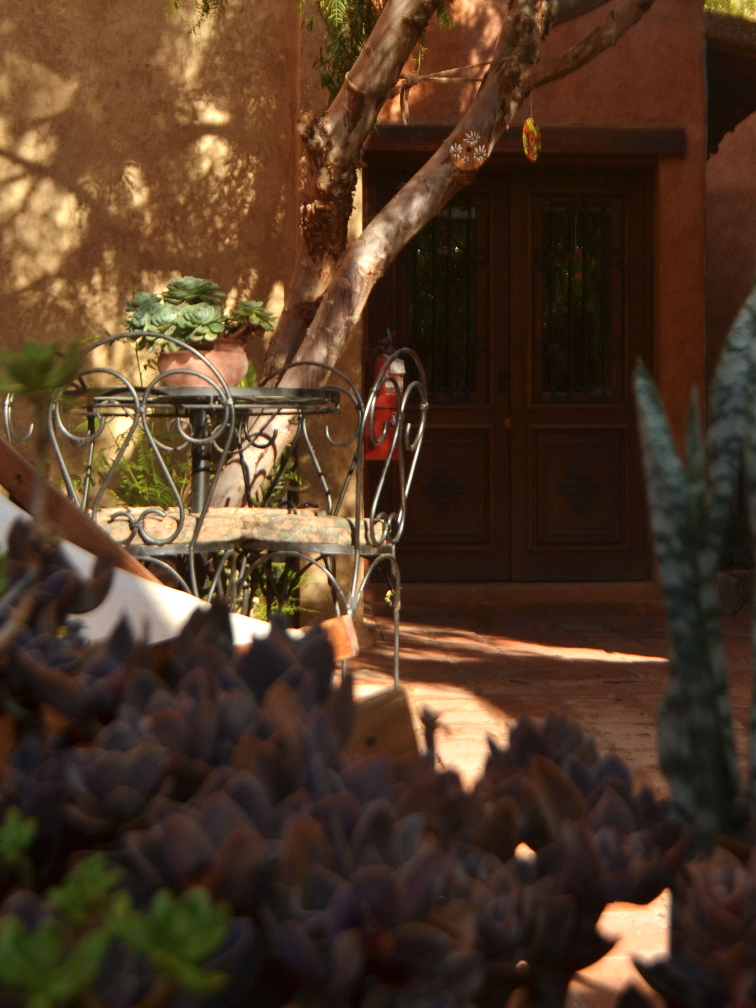 Un patio con una mesa y sillas de metal, rodeado de plantas en macetas y un árbol.