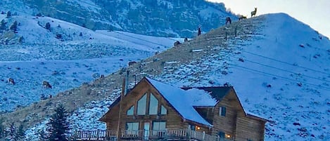 Extérieur