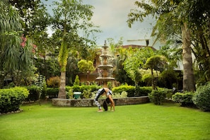 Jardín