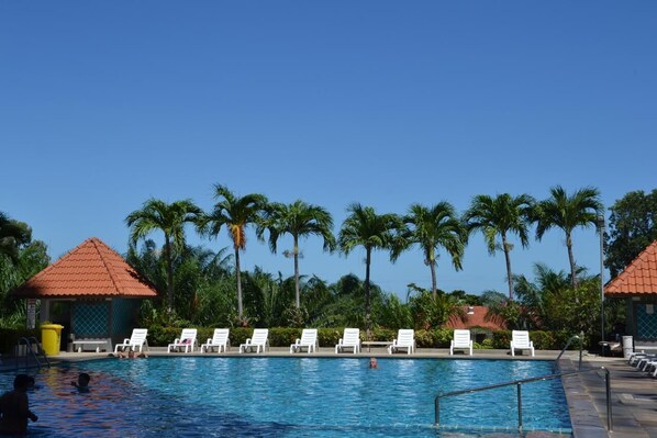 Una piscina con sillas de descanso blancas y palmeras al fondo.