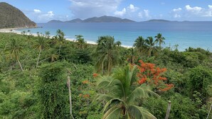 A tropical beach with lush greenery and a clear view of the ocean. - This stunning View Could Be Yours (West End)