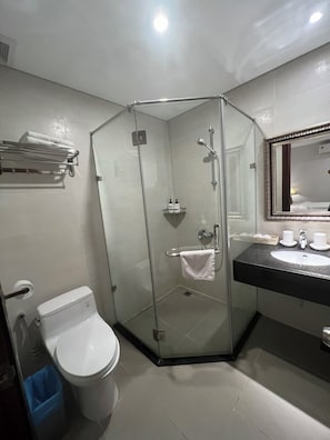 Shower, hydromassage showerhead, designer toiletries, hair dryer