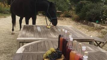 A wooden table with a fruit platter and several bottles of juice, set outdoors with a horse in the background.
