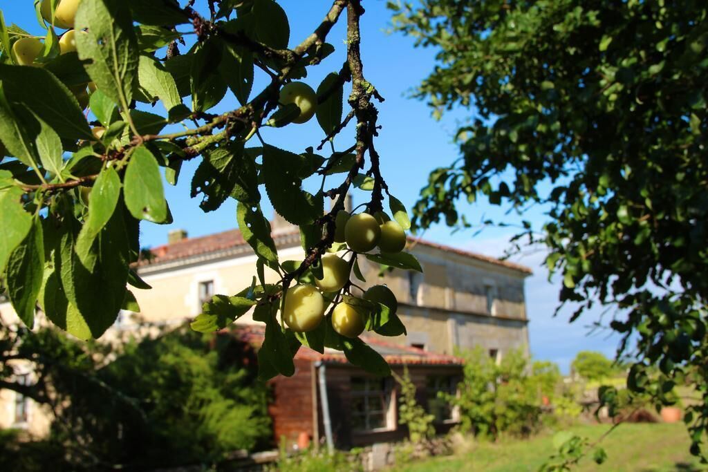 A building with a red-tiled roof and a garden with fruit trees.