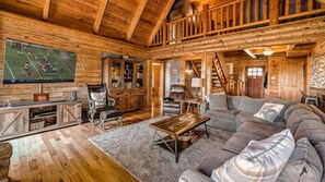TV, fireplace, video games, DVD player