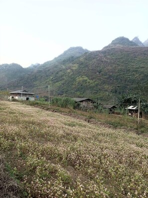 Vista desde la propiedad