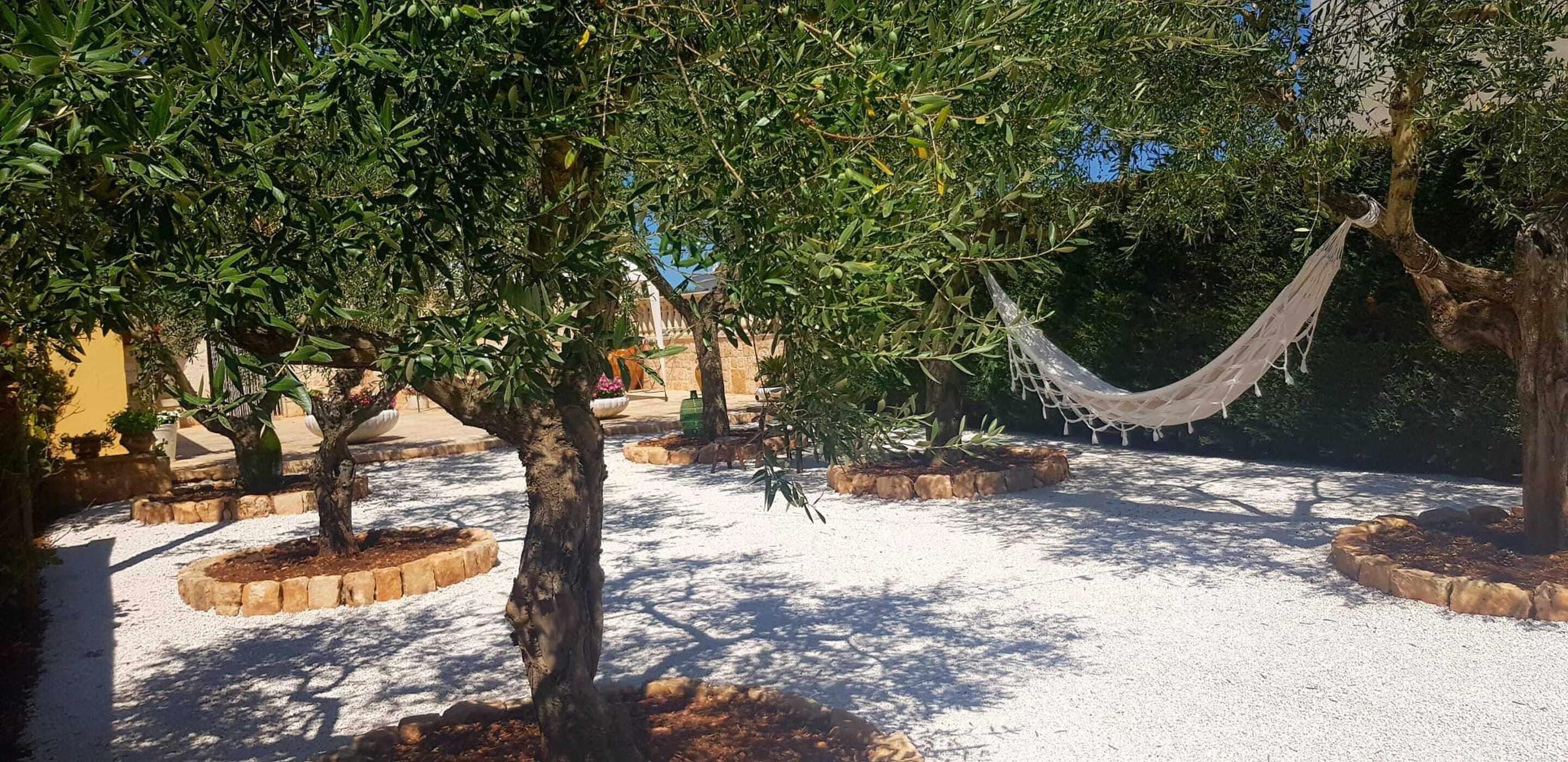 A garden with trees, a hammock, and a building in the background.