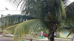 A playground with sand, a palm tree, and a no parking sign. - Suitable Season Rio das Ostras 021991484253 (Rio das Ostras)