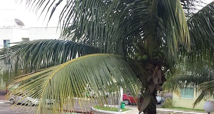 Temporada adecuada Rio das Ostras 021991484253