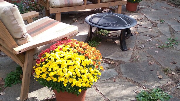 Terrasse/patio