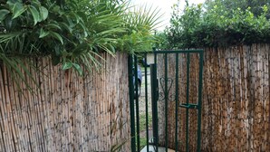 Een bamboombordes, een groen hek en een gele container op een betegeld terras.