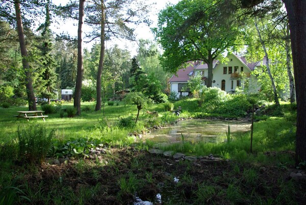 Ferienwohnung Seerose - Bleckede