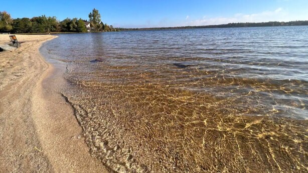 Una playa con agua cristalina, orilla arenosa y árboles al fondo.