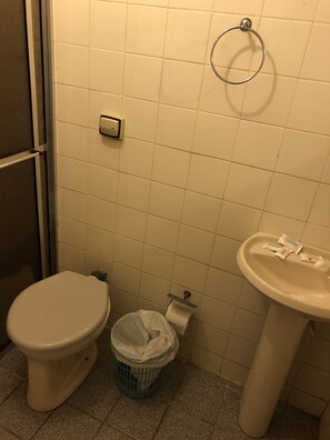 Een douche, handdoeken, toiletpapier