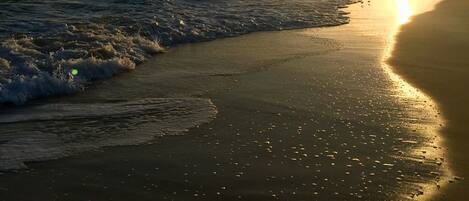 Beach nearby, sun loungers