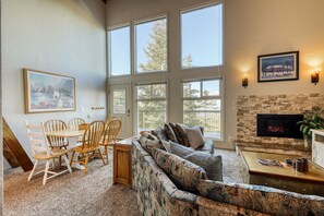 TV, fireplace, DVD player, books