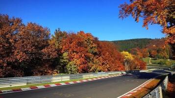 Una carretera serpenteante con baranda, rodeada de follaje otoñal.