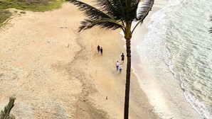 A beach with a palm tree, a sandy path, and a view of the ocean. - Amazing Ocean/Beach Front, Pool Side, Ground Floor Remodeled 2 Bdr 2 Bath Condo  (Kihei)