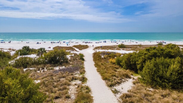 Una playa con un sendero arenoso que lleva al agua, rodeada de vegetación.