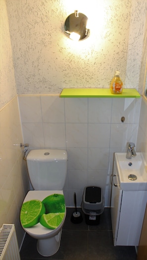 Combined shower/bathtub, soap, toilet paper - To Eichhorn 46, hikers and nature lovers, (Tanna)