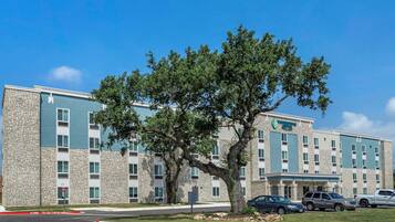 A multi-story hotel with a stone facade, a large tree in front, and several parked cars.