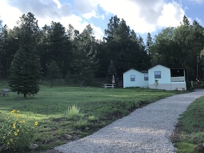 Stroll along the gravel pathway to a serene retreat surrounded by lush greenery and a picturesque evergreen tree.