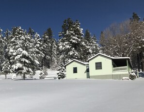 Stunning cabin nestled among snow-covered trees, offering a serene retreat.