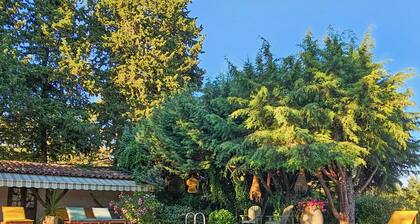 Domaine de Conillieres - Gite oranger - Pisicne, grand calme, pleine nature