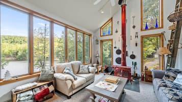 Télévision, cheminée, lecteur de DVD