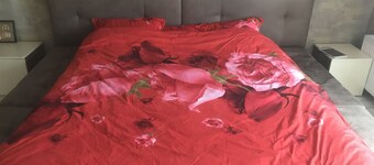 Hoshen Apartment Dmytrushki