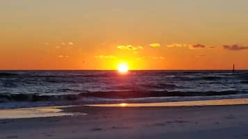 Plage à proximité, chaises longues, serviettes de plage
