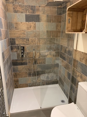 A shower with a glass door, a white toilet, and a wooden cabinet.