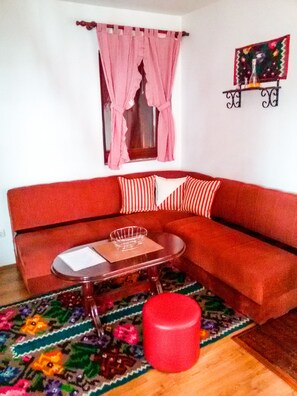 Apartment, 1 Bedroom, Terrace | Living room | Flat-screen TV, fireplace, DVD player - Villle M&S (Raška)