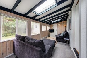 TV, fireplace, DVD player, ping pong