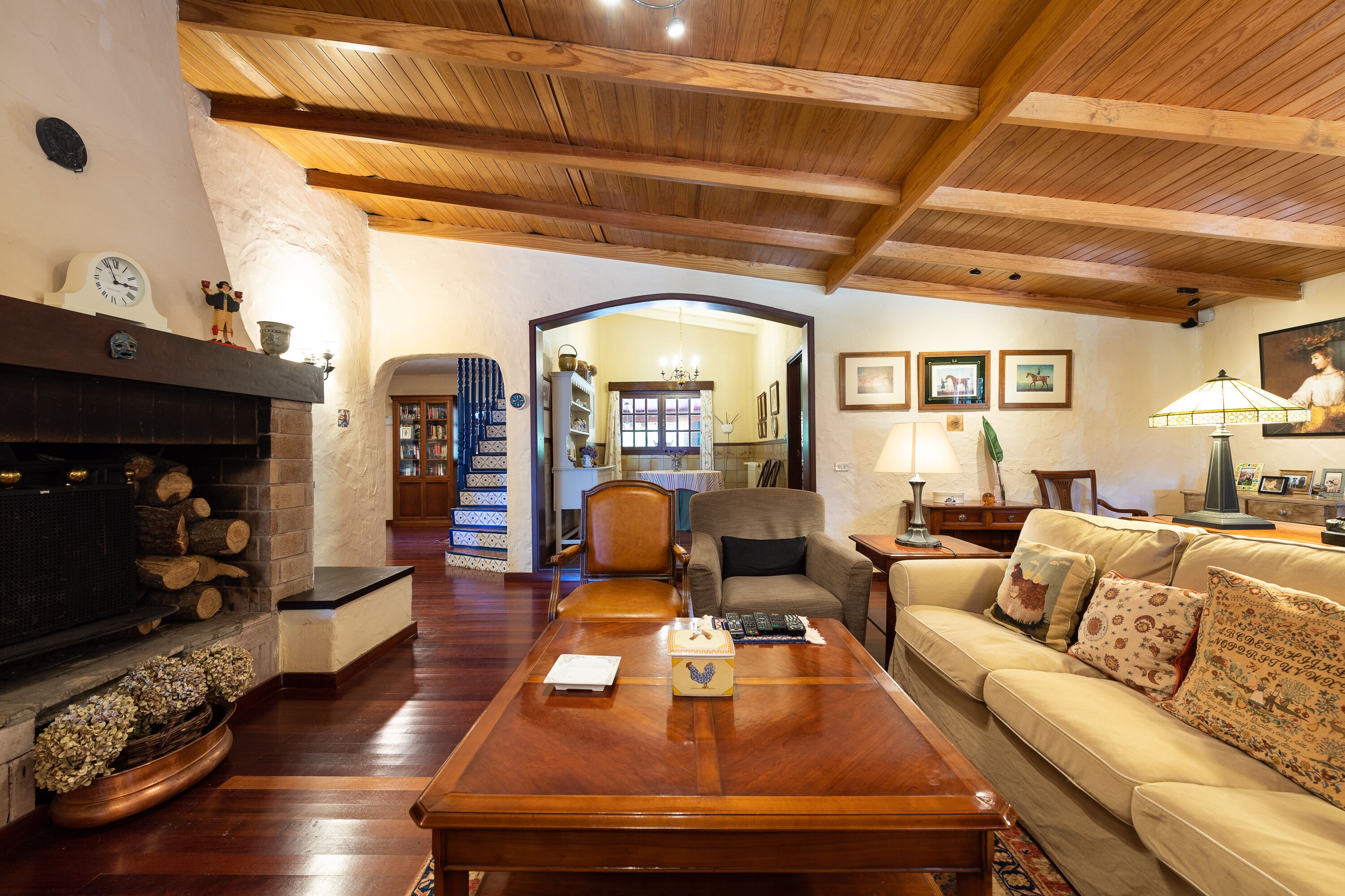 Smart TV, fireplace, video games, DVD player