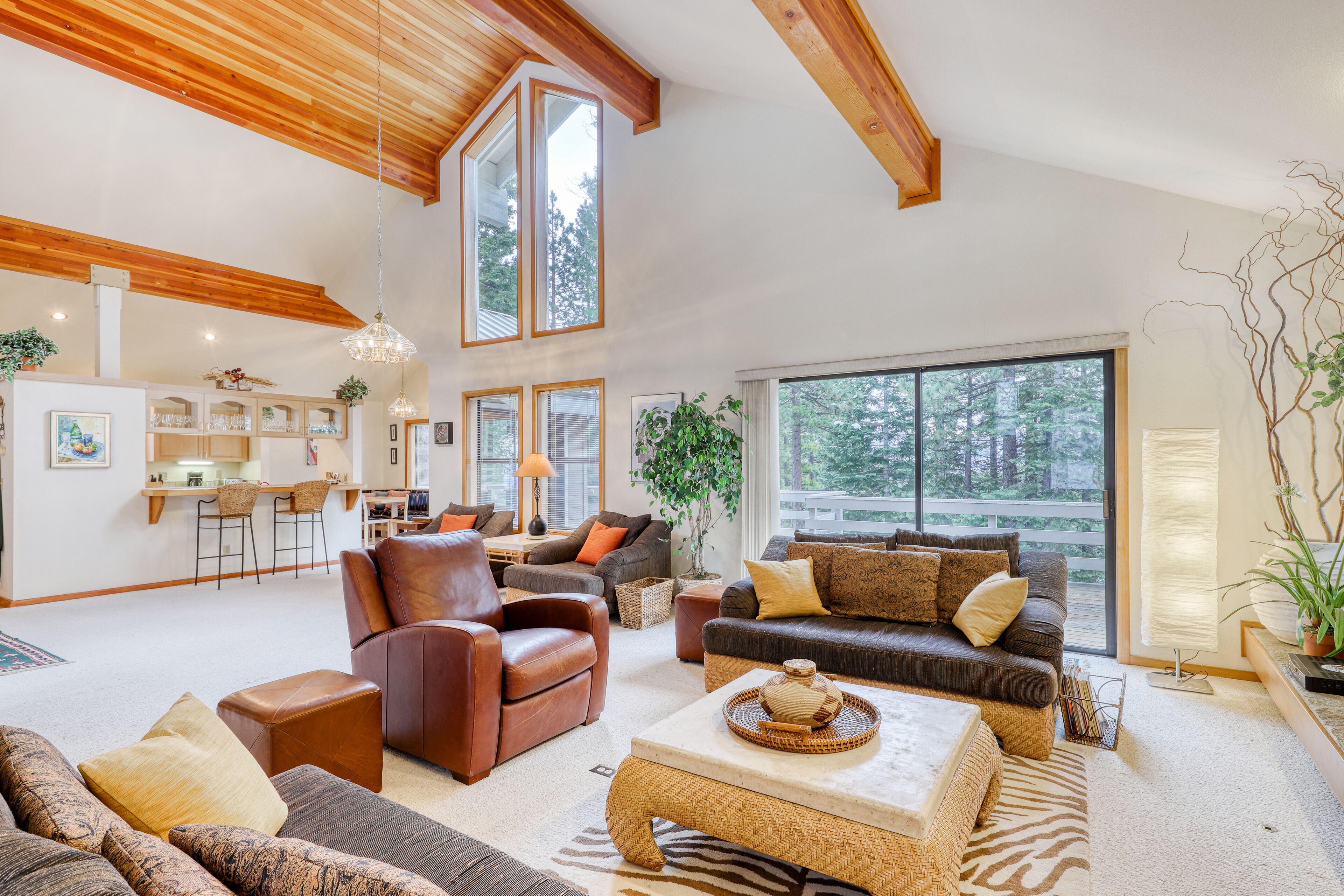 TV, DVD player, video library, stereo