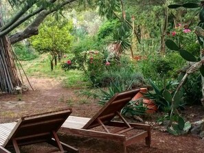 A garden with a wooden bench and a pathway. - Studio & large garden 200m Calvi beach (Calvi)