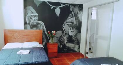 Modo Hostel Resto Bar