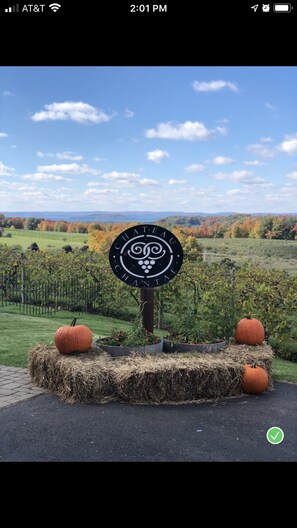 Property grounds - Brand New Waves of Blue Welcomes You! (Traverse City)