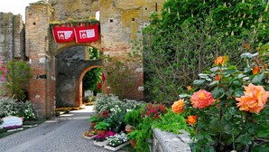 Un arc en pierre d’époque, menant à une cour intérieure agrémentée de diverses fleurs et plantes.