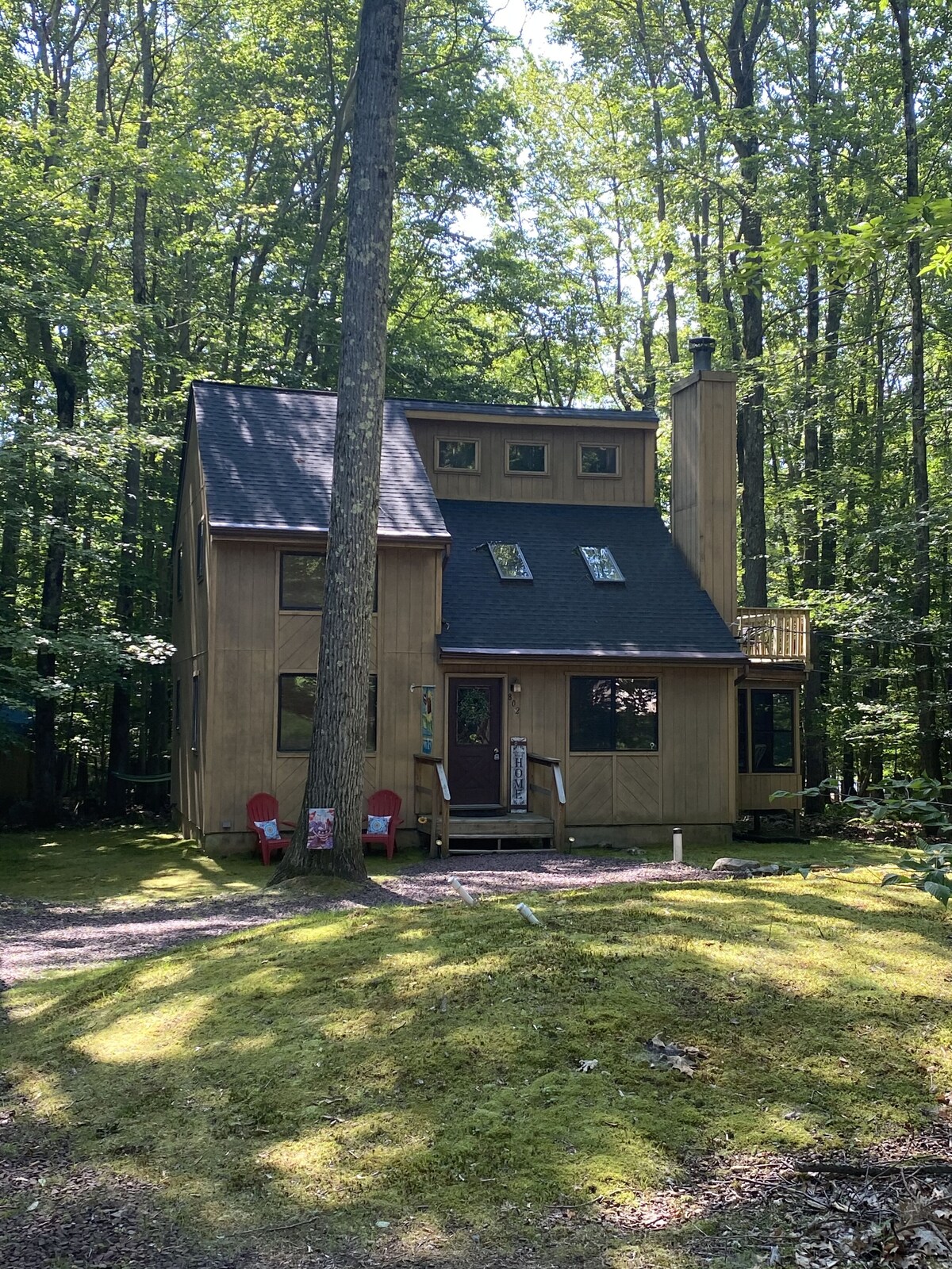 Image de profil de l’hôte