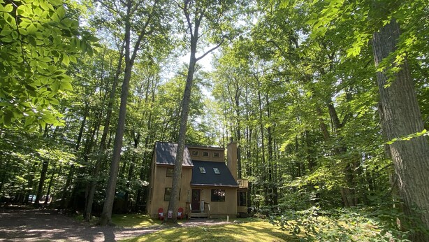 A cabin surrounded by tall trees in a forest.