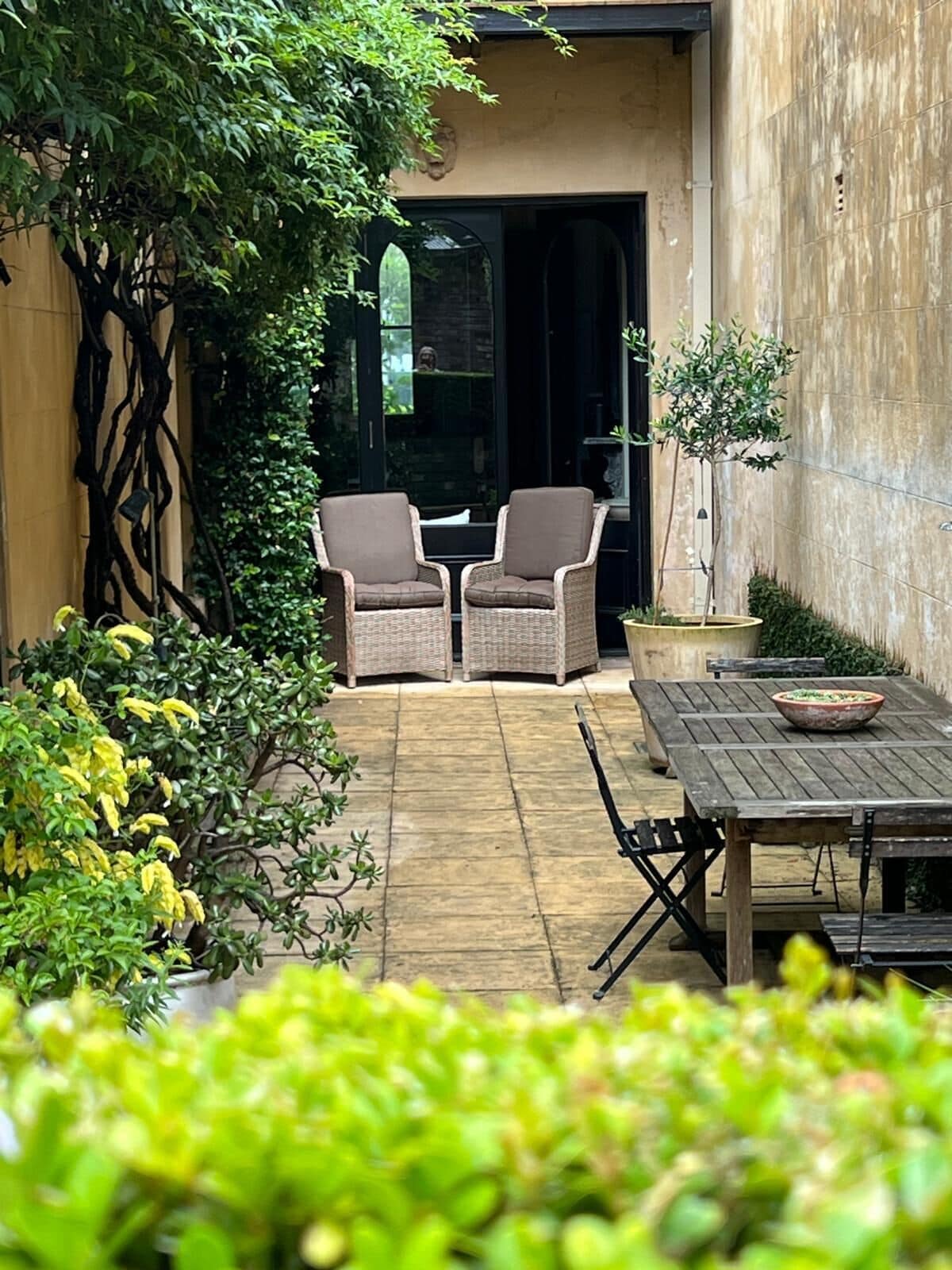 Een terras met rieten stoelen, een houten tafel en potplanten.