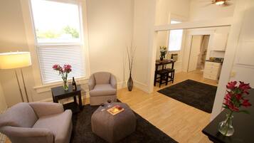 Télévision, cheminée, lecteur de DVD