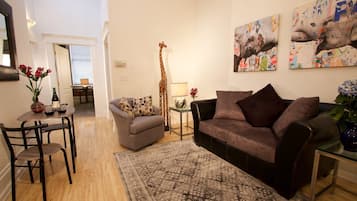 Télévision, cheminée, lecteur de DVD