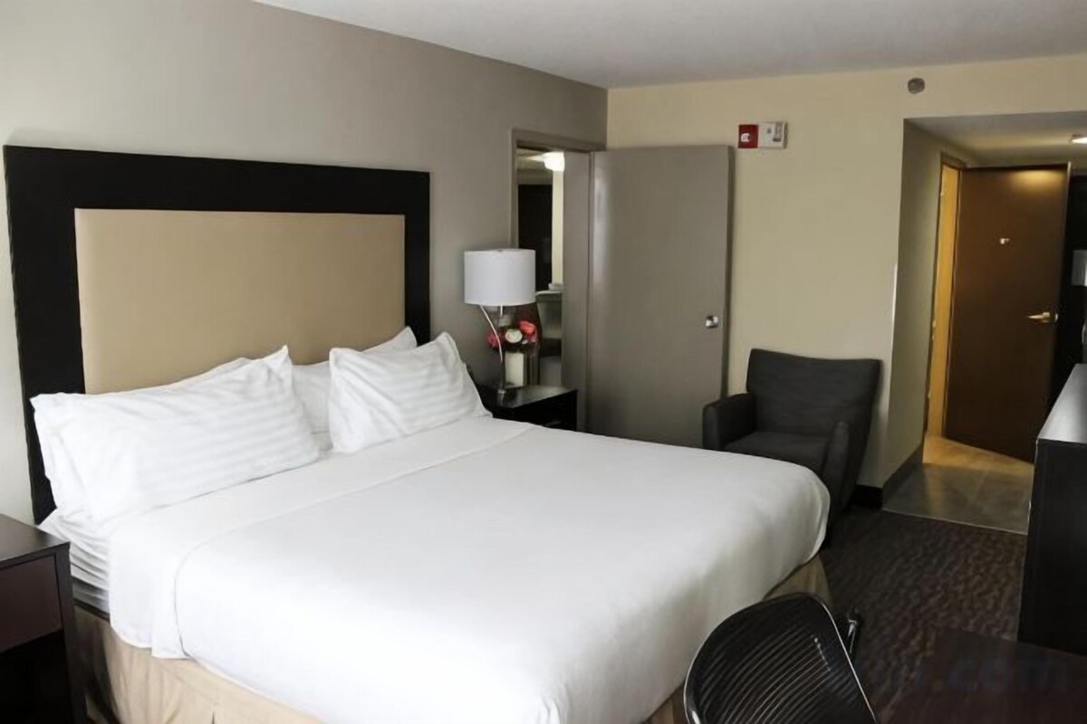 Comm Access Standard Queen Room with Roll shwr